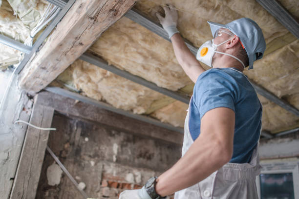 Best Insulation Maintenance and Repair in Hollis, OK